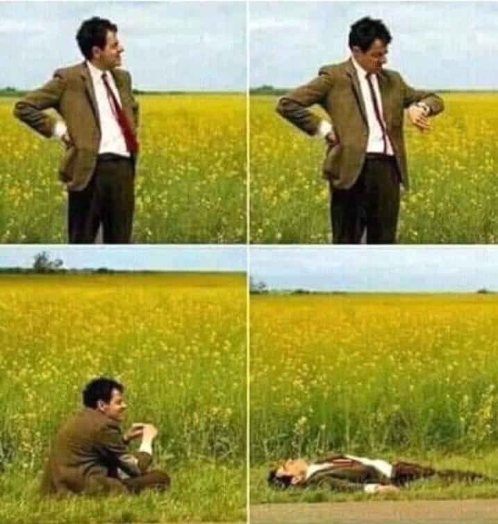 شقایقم tweet media