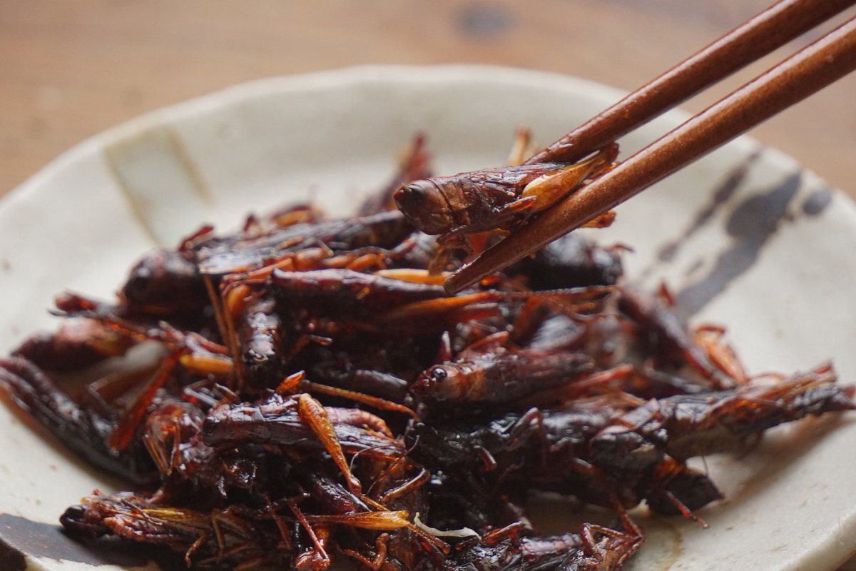 ✪国際府中ステーション✪ tweet media