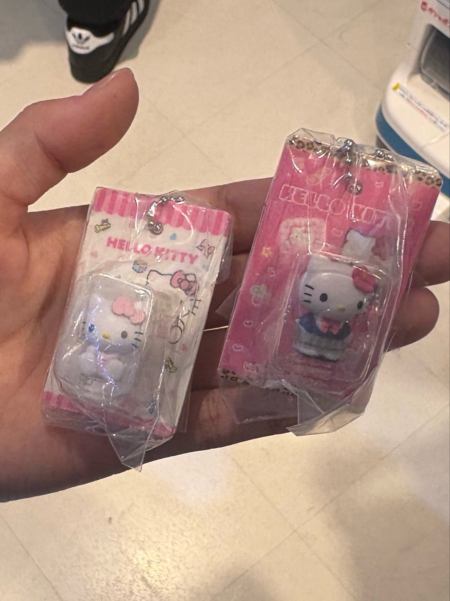 ここたぬ tweet media