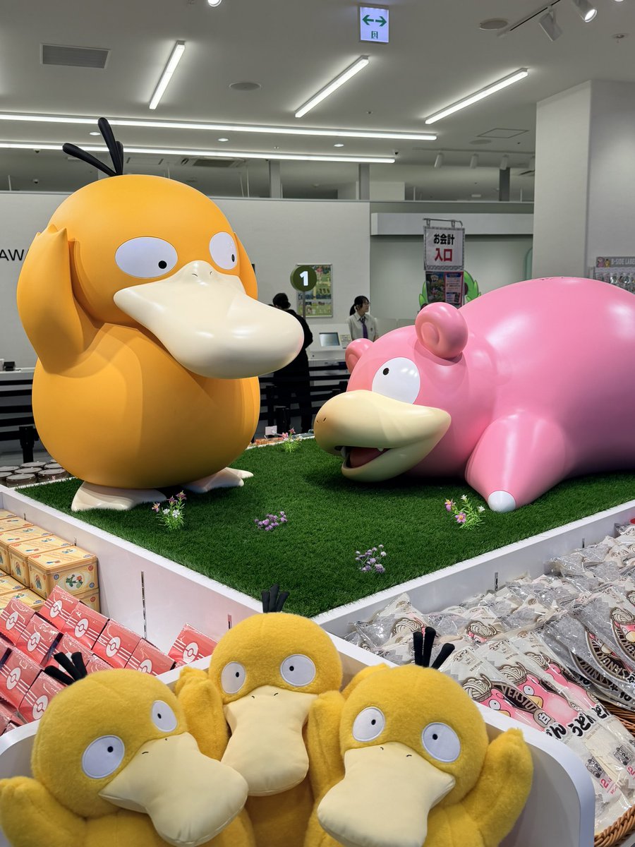 ๐๐-๐๐๐๐ tweet media