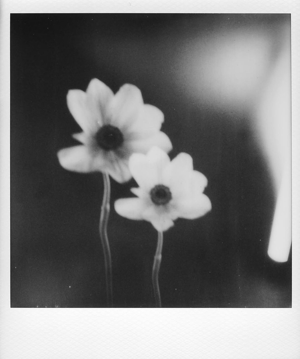 GrandeTourFR's tweet image. #INFO Ariana continue de tease l’era AG8 👀🌼