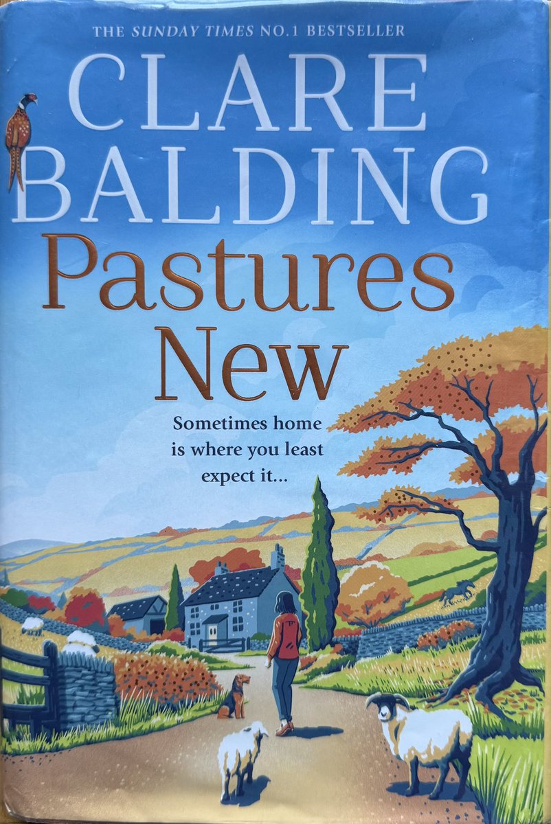 happyhillers's tweet image. Just #read this first adult #book by the wonderful, multi talented @clarebalding I really enjoyed it. It was a random shelf pick from my fab #Weymouth @DorsetLibraries Reading the acknowledgments, it was lovely that Alice got a mention #readingforpleasure #recommend