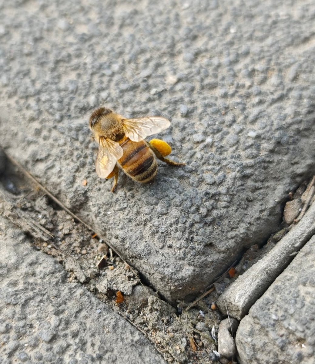 陈小西 tweet media