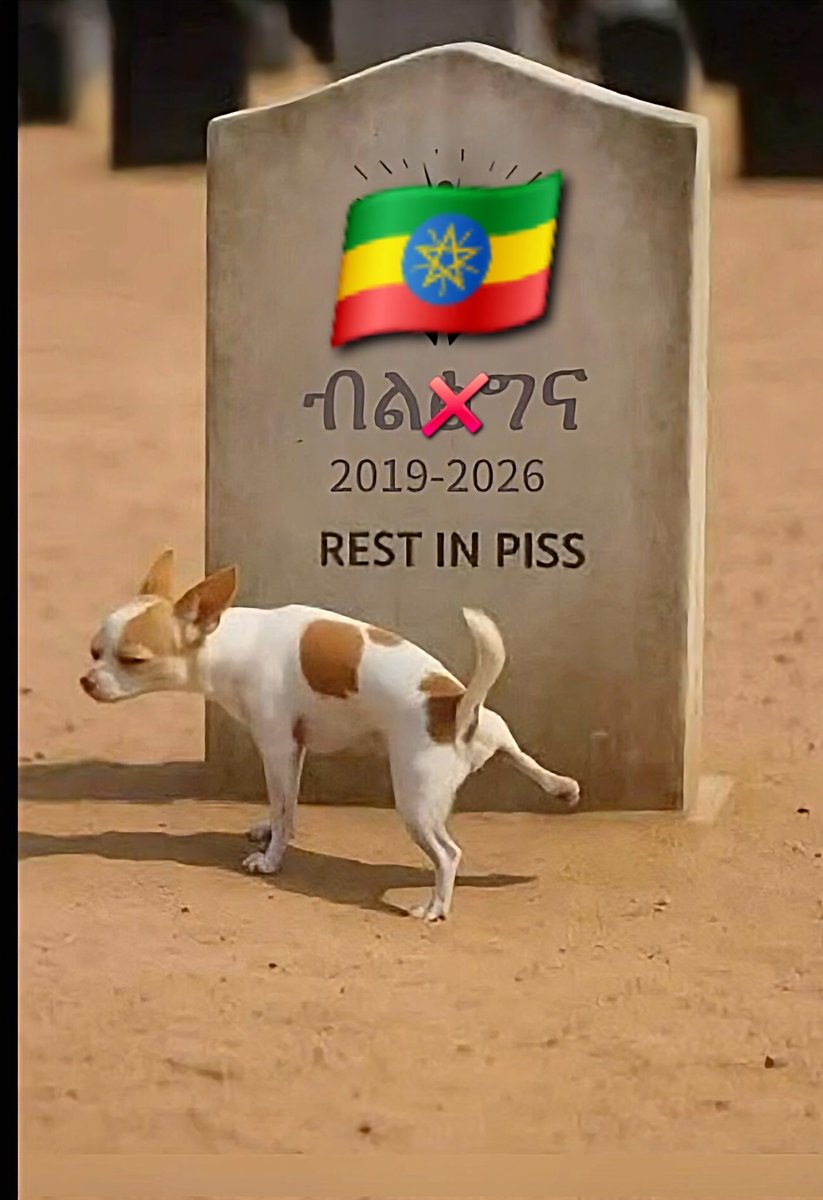 Titi H🇪🇷 tweet media