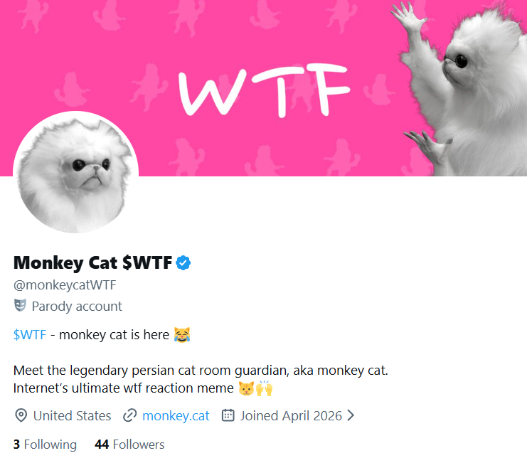 Monkey Cat $WTF tweet media