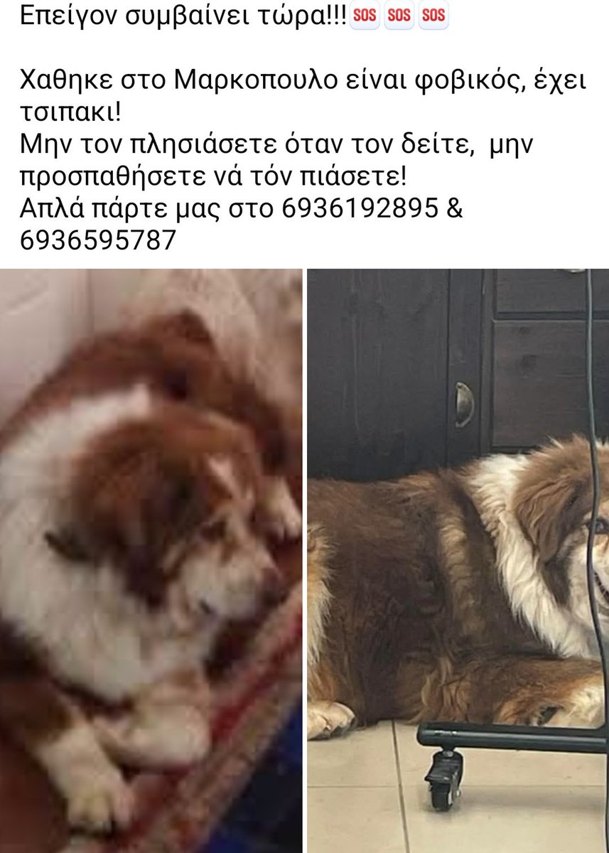 Χλε_Μπονα Σαμερ tweet media