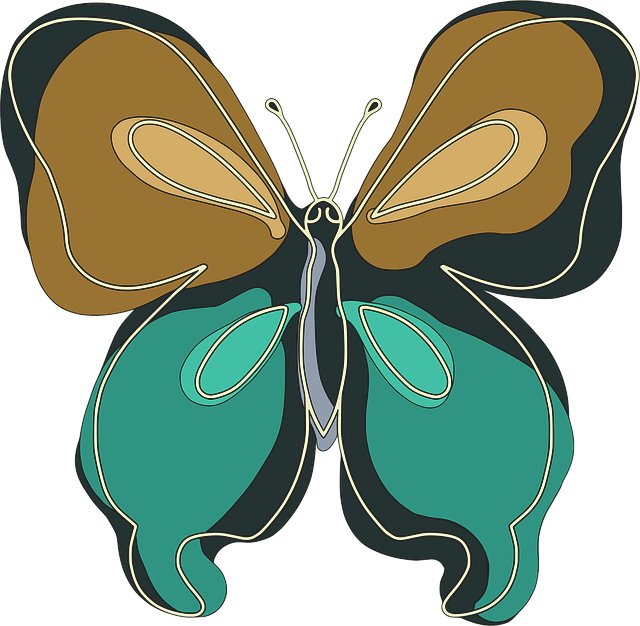 Douglas Anderson tweet media