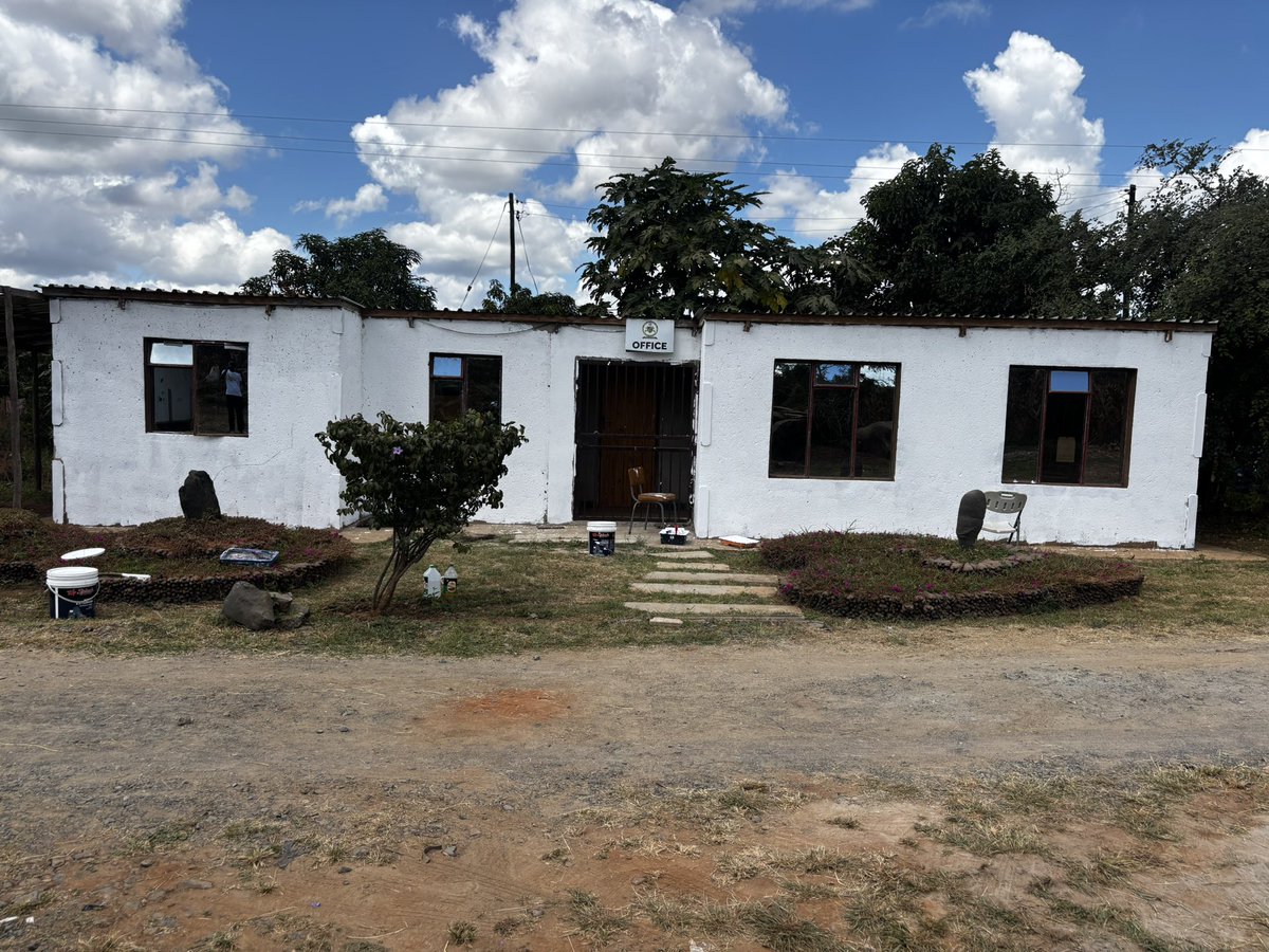 kumbekumbe's tweet image. #Day 2 in Shamva 🎨🫟Paint &amp;amp; passion gets the work done.The foundation is set &amp;amp; the story is slowly coming to life in #color. In #Shamva ,we are already setting the mood for #Harare.From walls 2 screens,paint to film.  @table_girls  @hivos @workingfilms 
#JoinUs #murals #films