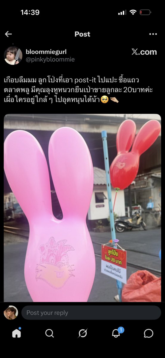 𝘽𝙚 𝙢𝙮 𝙅 。ʕ•ᴥ•ʔ♡︎ tweet media