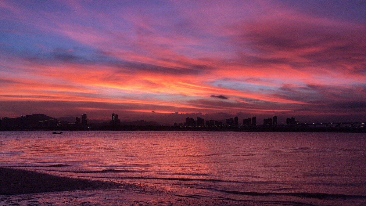 judith lappay tweet media