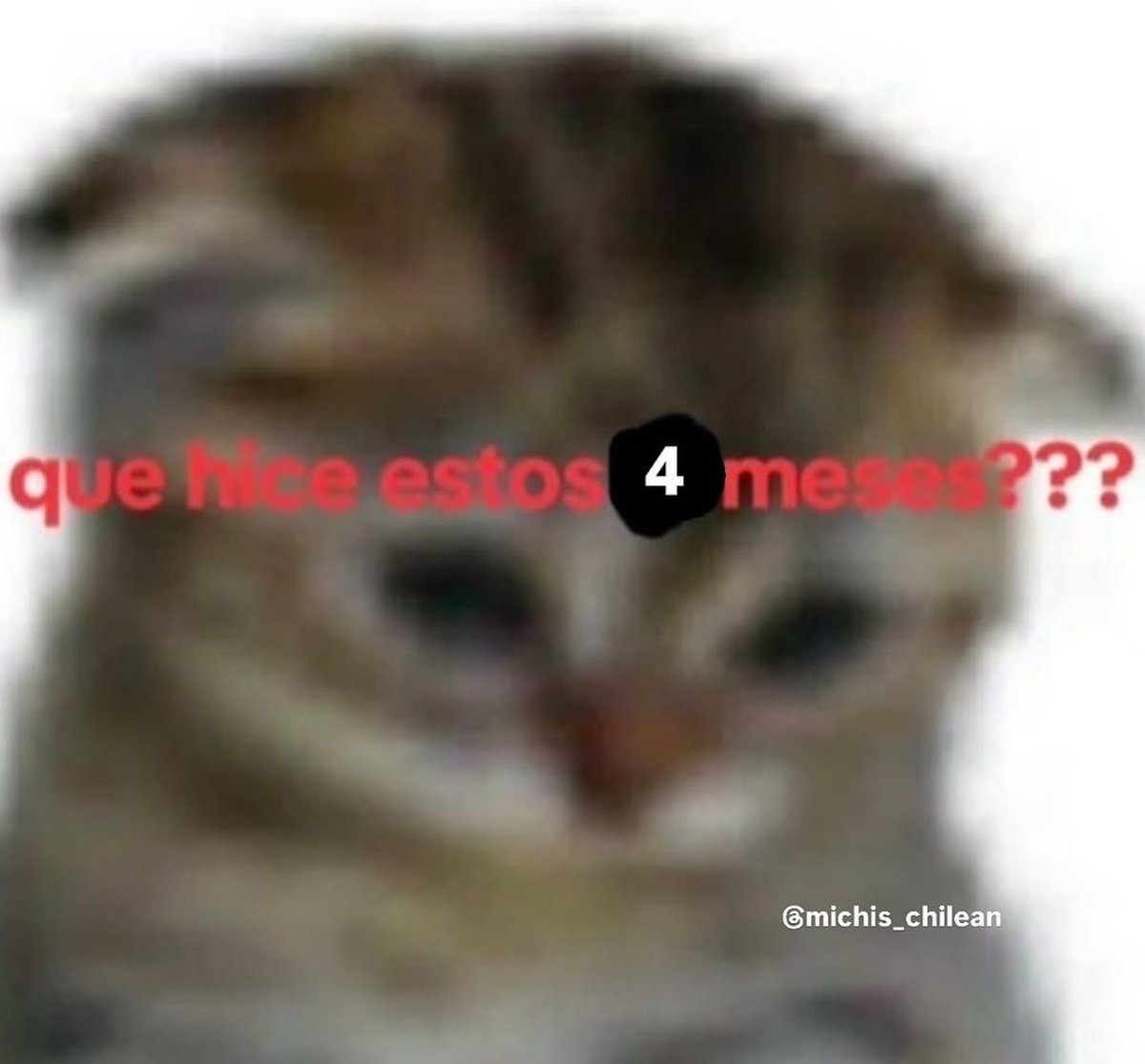 piña sin pizza tweet media