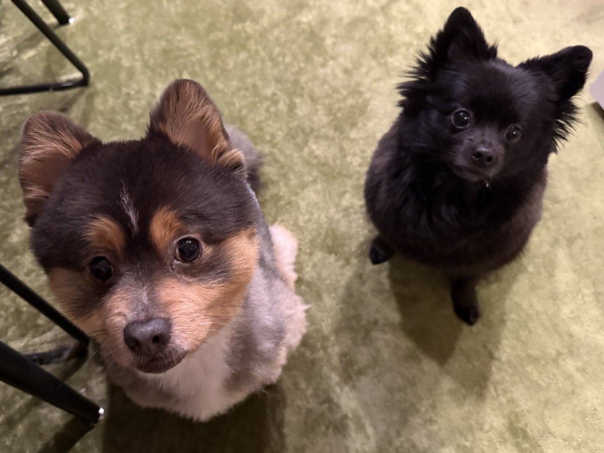 星乃きら【白地図プロローグ】 tweet media