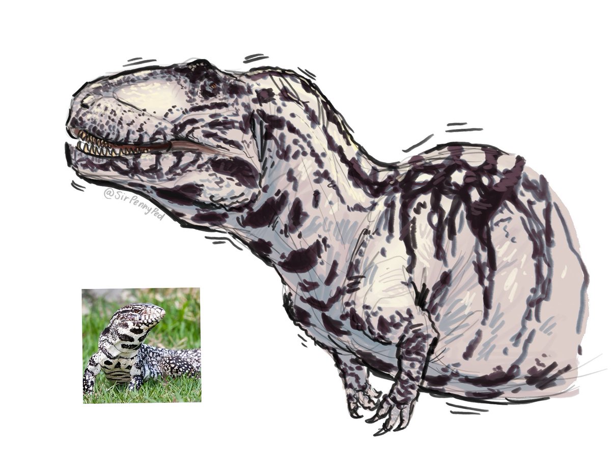 Sir Pennyped 🦭 tweet media