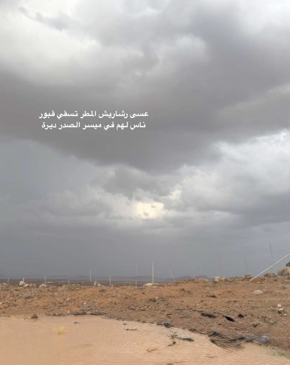 امل Amal tweet media