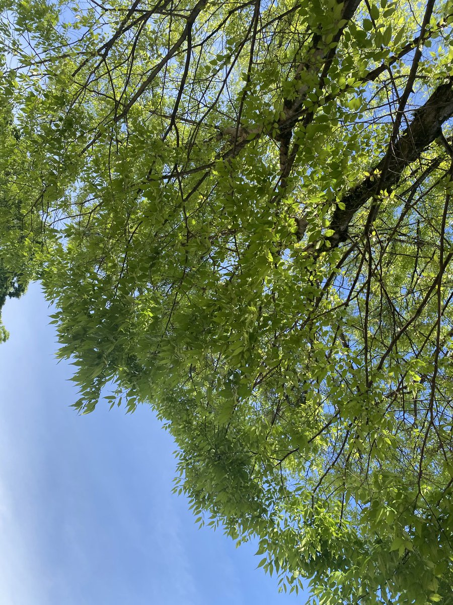 なぎさ tweet media