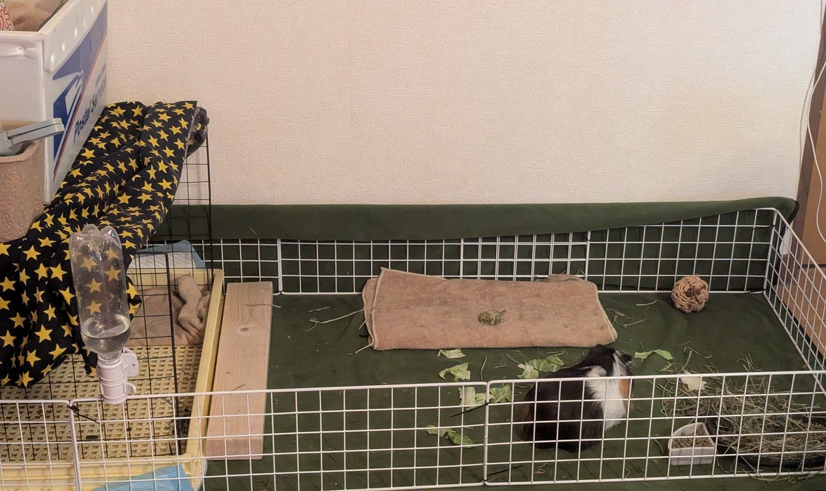 🫥Guess I am🪬 tweet media