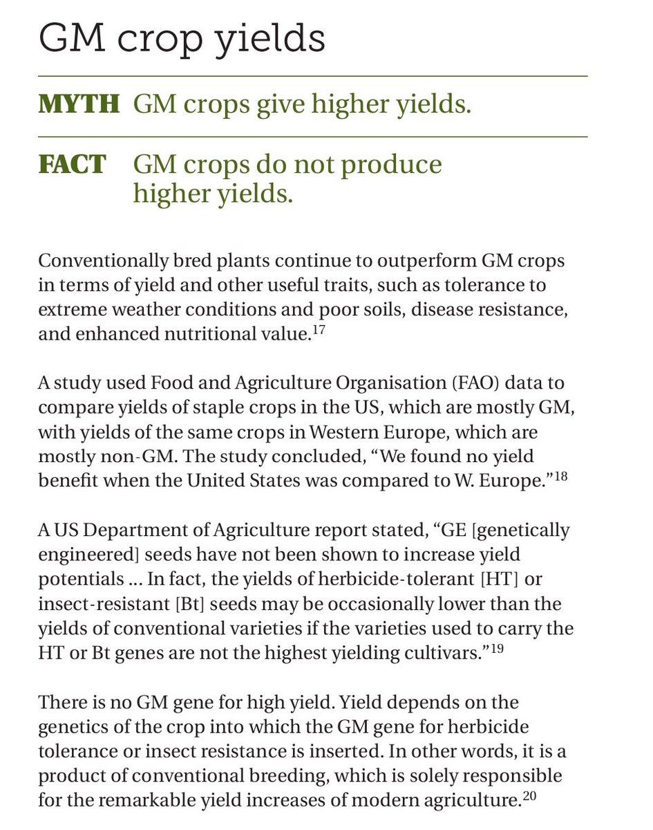 Cidi Otieno tweet media
