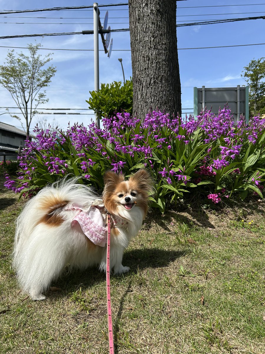 ゆうこさん tweet media