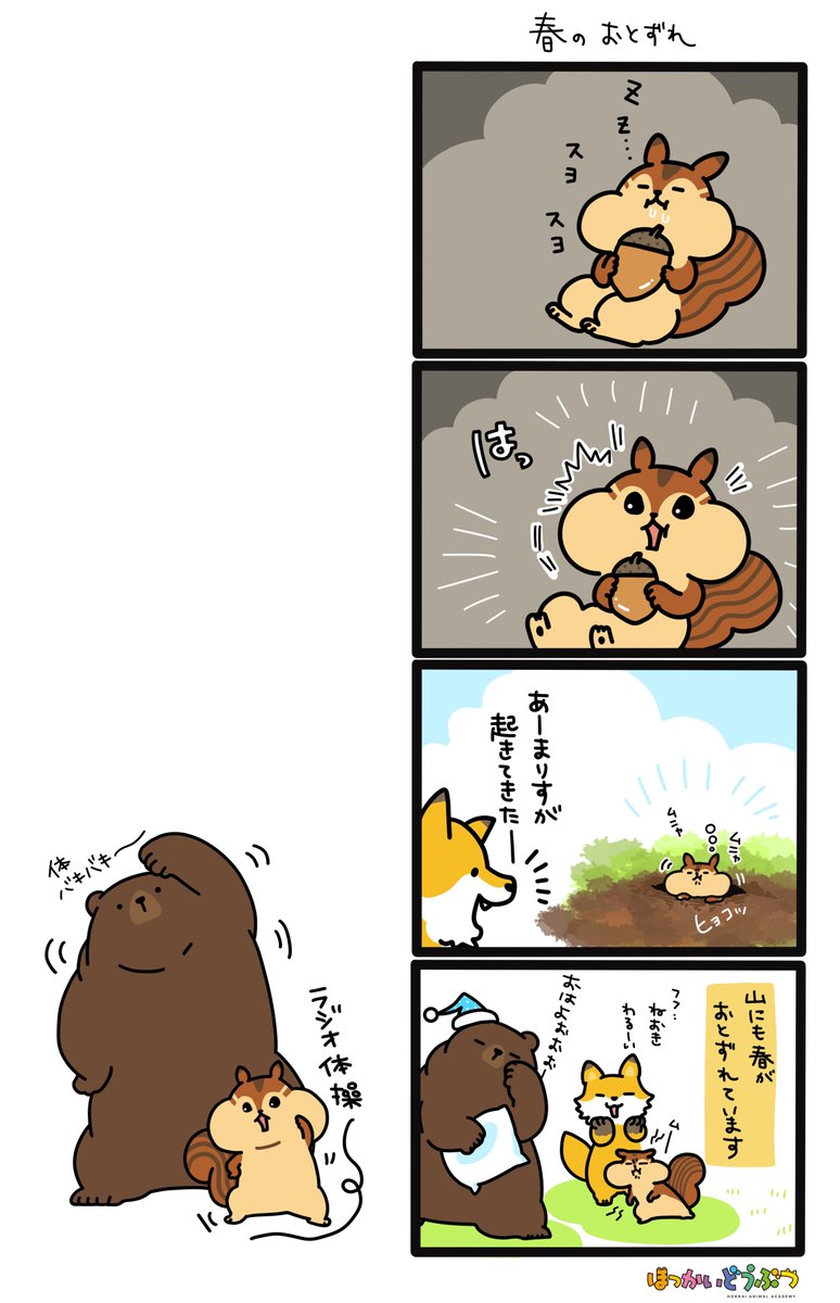 寝ぼすけまりすが起きてきた～！
寝ててもほっぺがぷっくりで、かわいいね🤣

#ほっかいどうぶつ