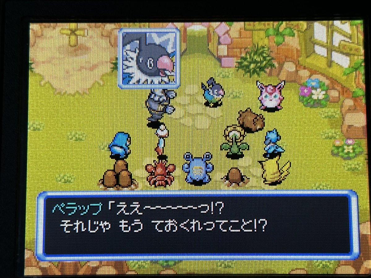 headshot0318's tweet photo. ハチワレってペラップと口調似てる https://t.co/vv1V81lJ8C