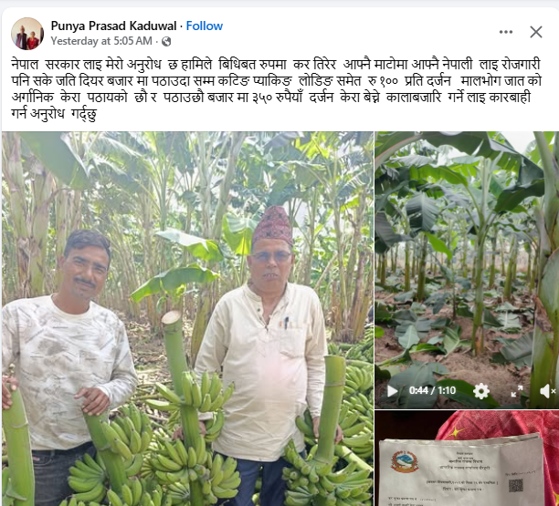 केरा किसानको भनाइ