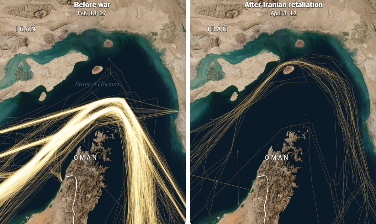 Francesco Sassi tweet media