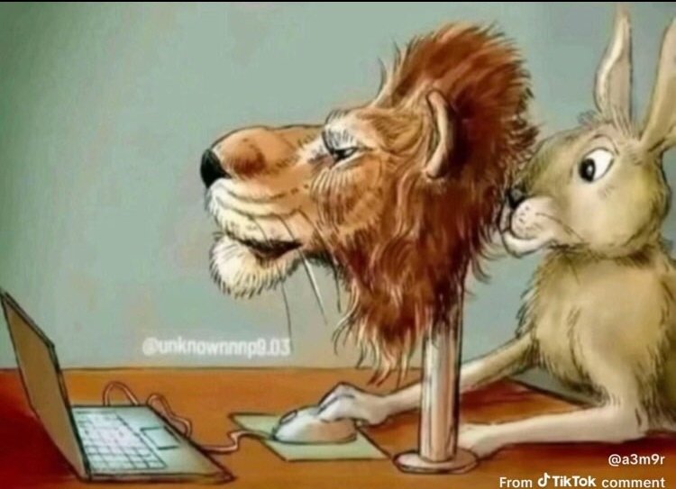 Potatohead419 tweet media