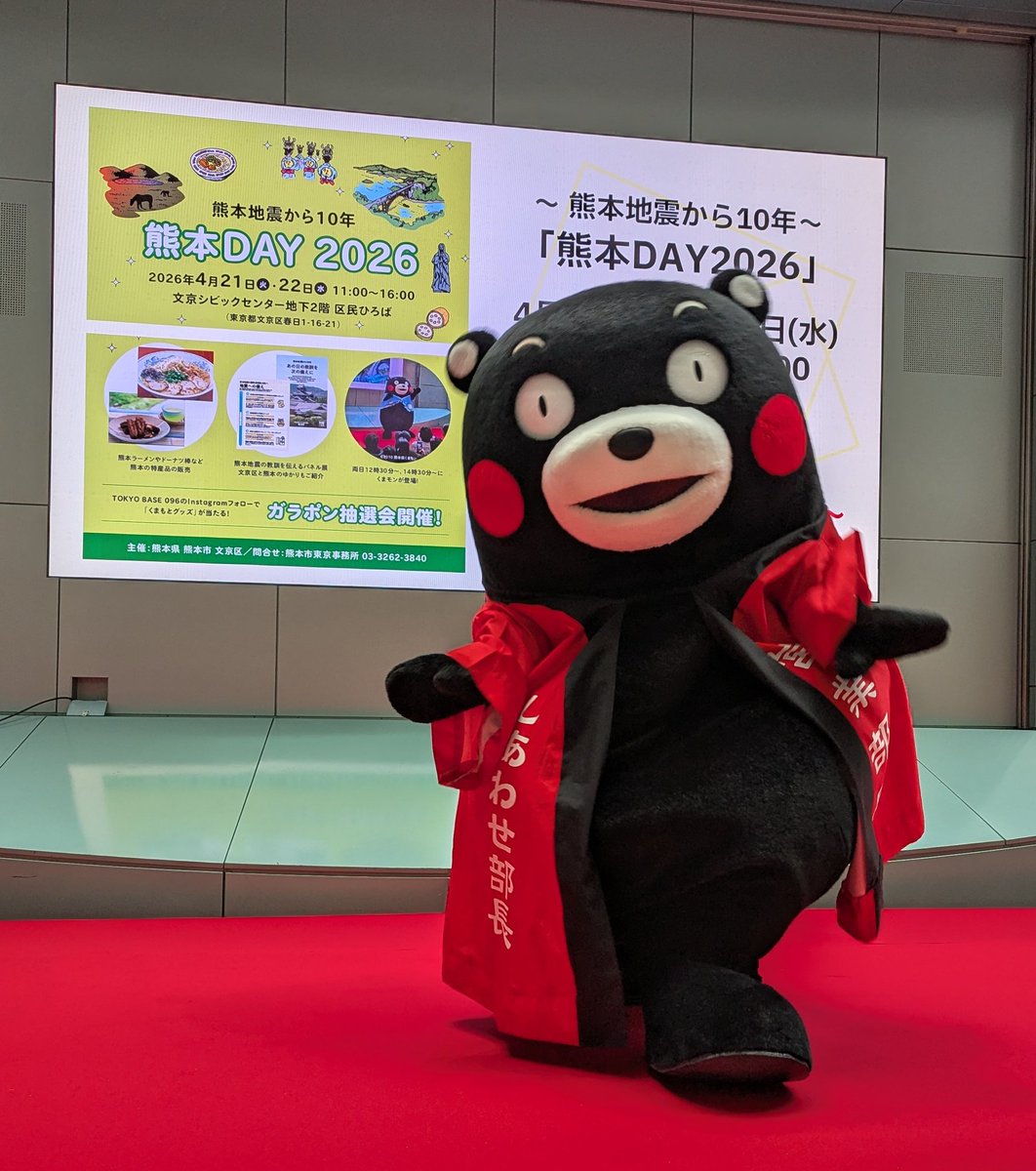 豆猫堂 tweet media