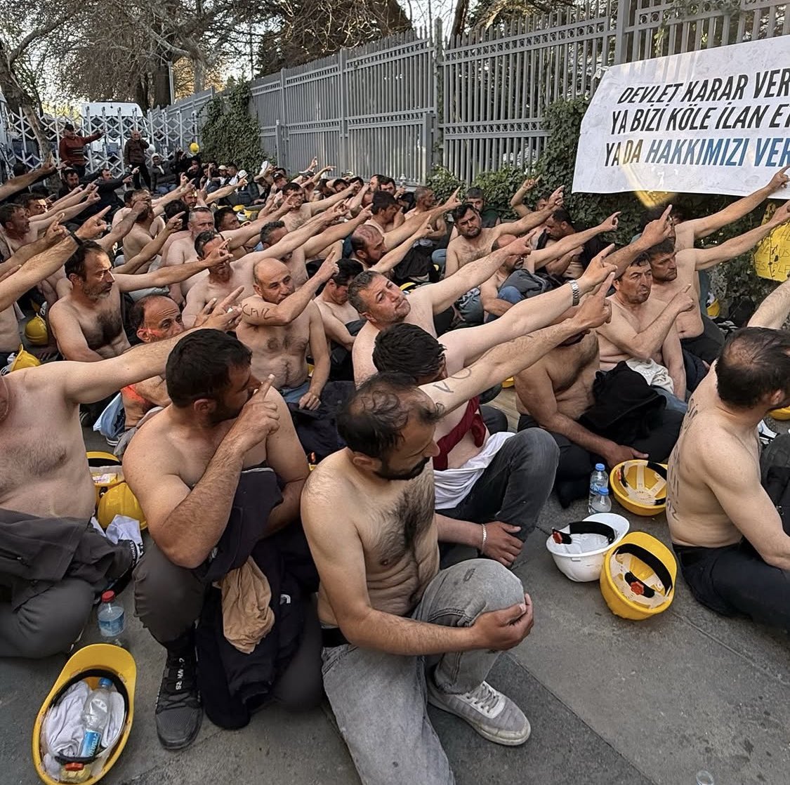 S.Bulut🦅🦅 tweet media