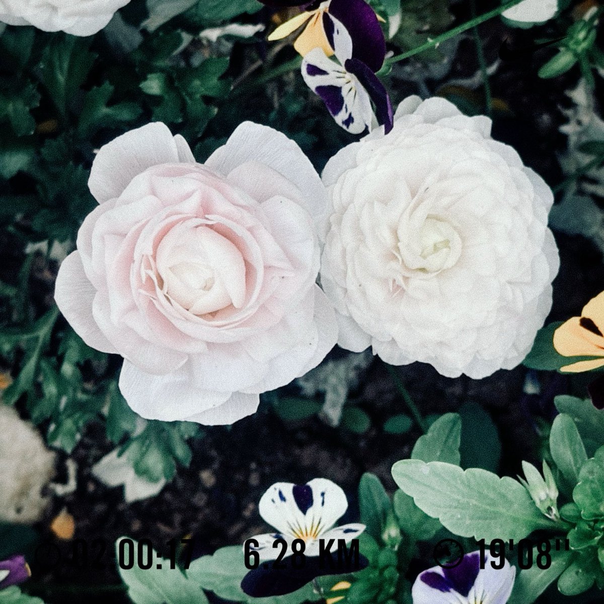 KIMWooJe's tweet image. #nike #nikeplus #justdoit #nikerunclub