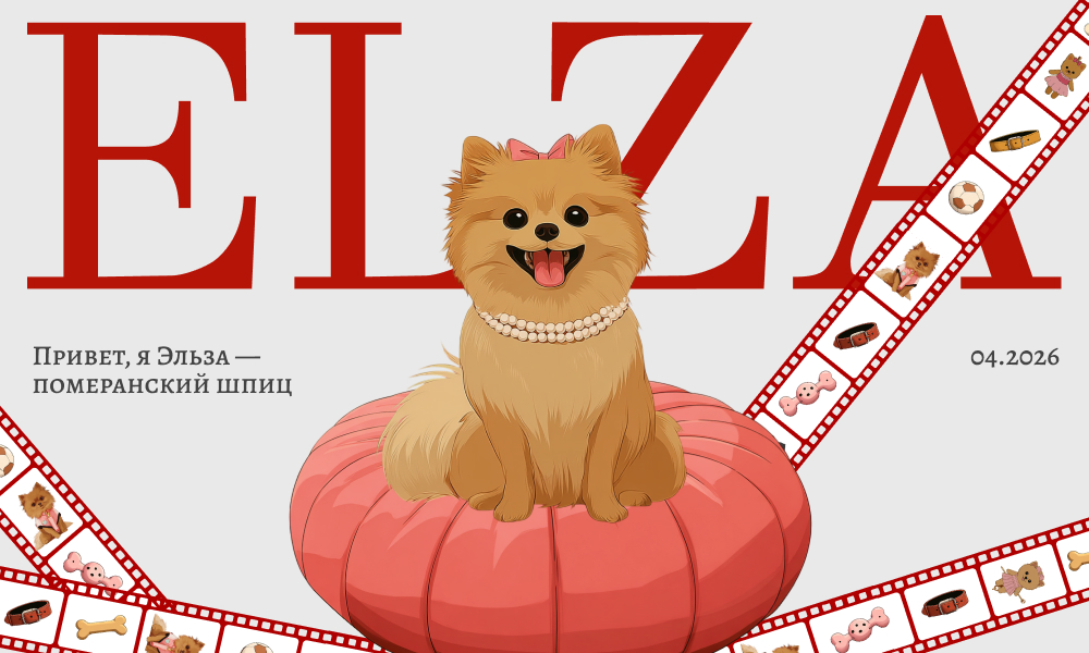 designnominees's tweet image. #Site of the Day 21 Apr 2026
Elsa is a Pomeranian Spitz
by Marina 
designnominees.com/sites/elsa-is-…