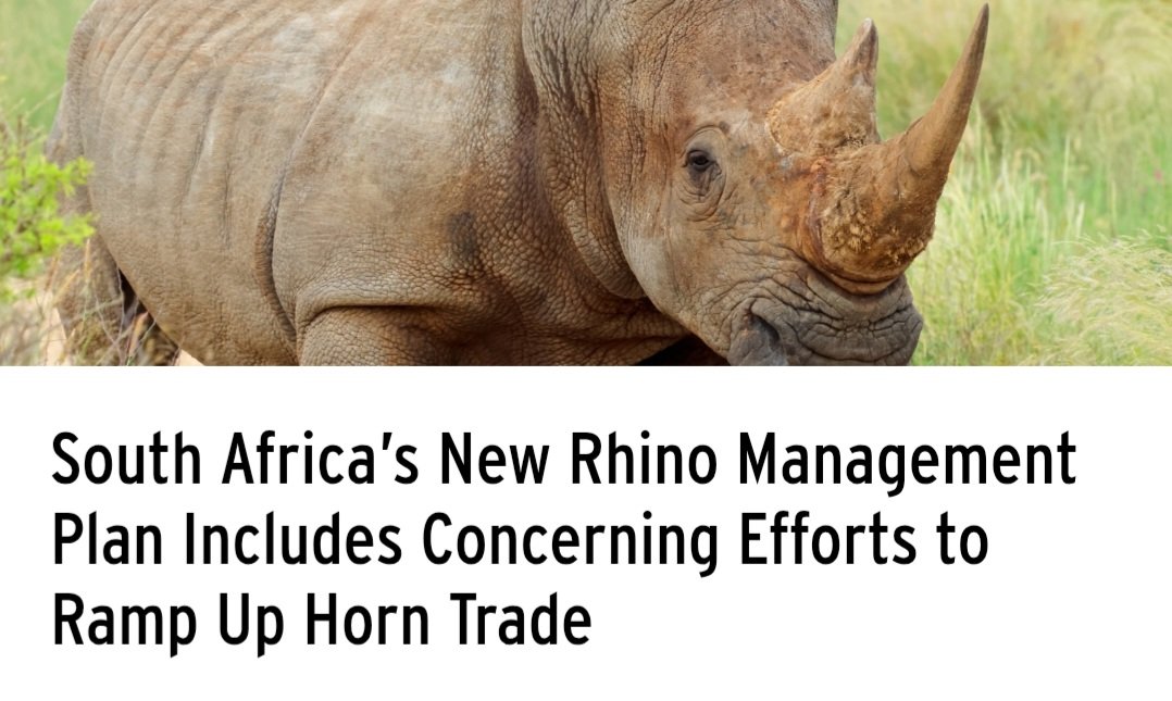 Sue Spurgin tweet media