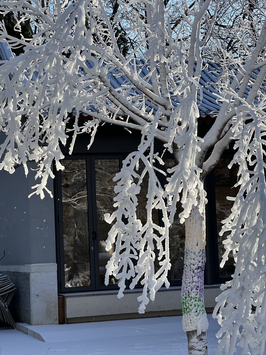 Laurence Chalon "Le Sachez Tu !? :O " chronique tweet media