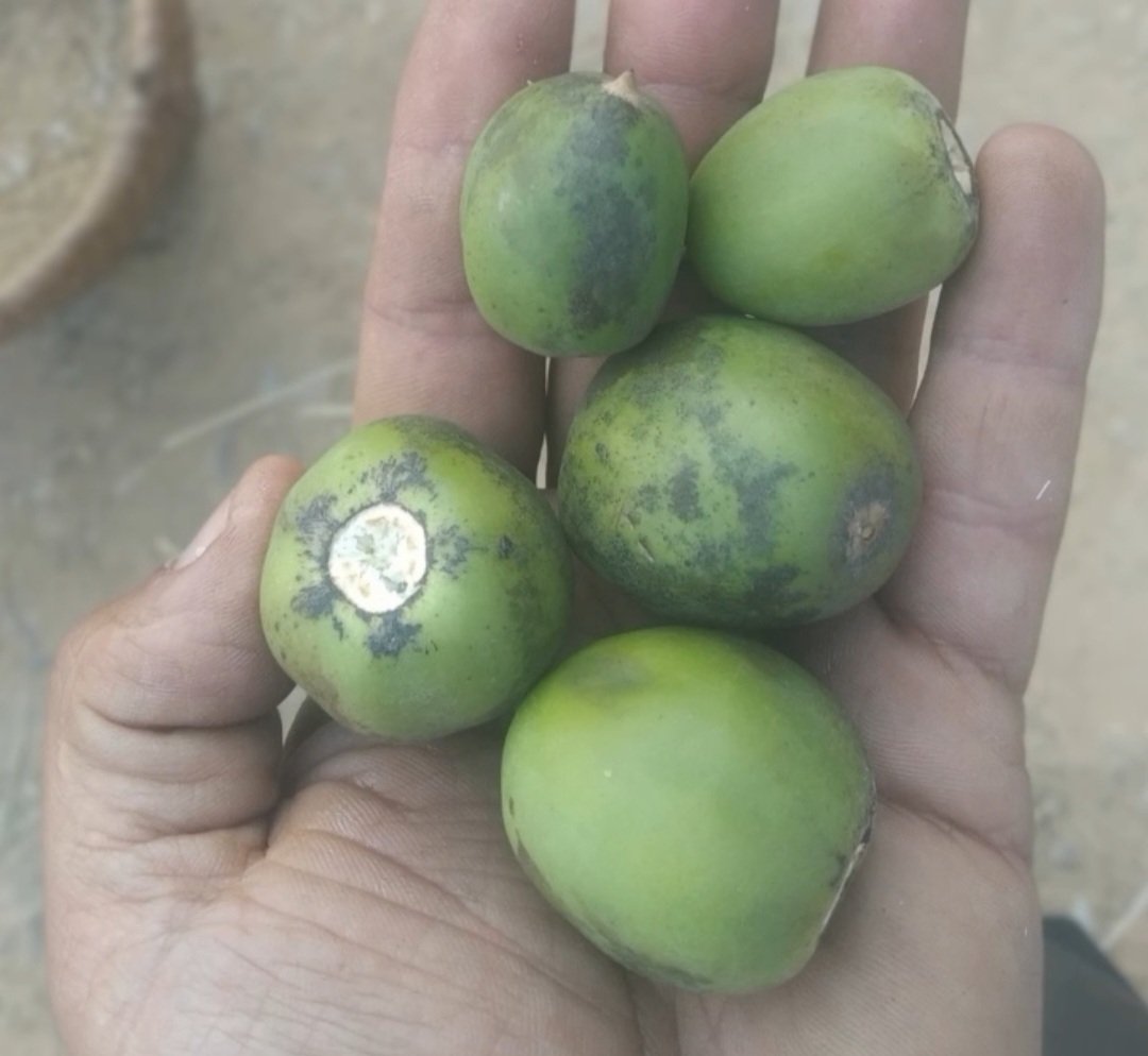 🇳🇵 Mr. Edge 💙🇦🇷 tweet media