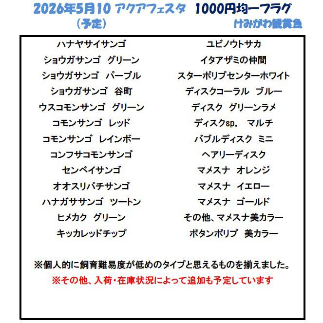 AQUA FESTA／REEF FESTA tweet media