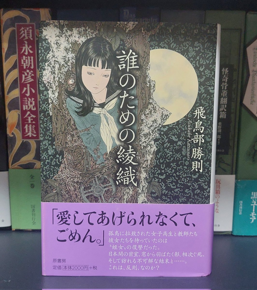 しろちゃとら tweet media