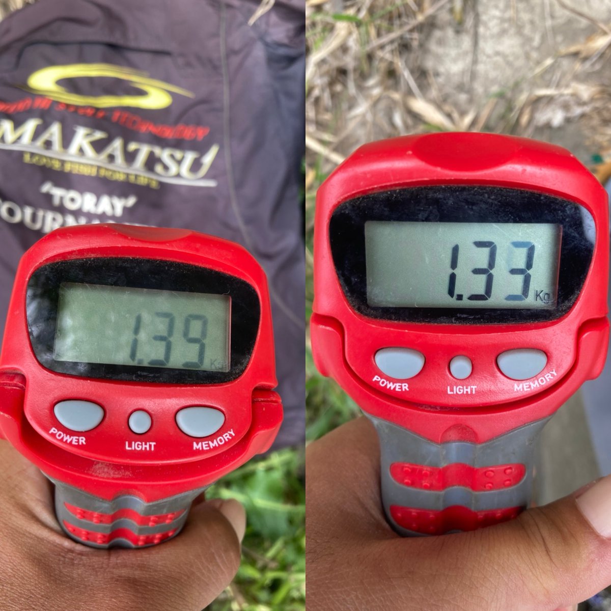 電撃ゴルゴ tweet media