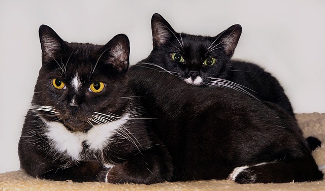 Sophia Weber tweet media