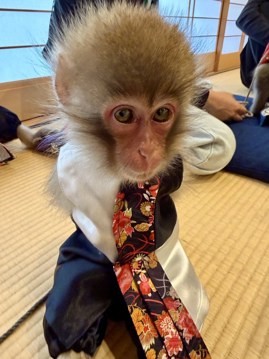 利美トレーナー tweet media