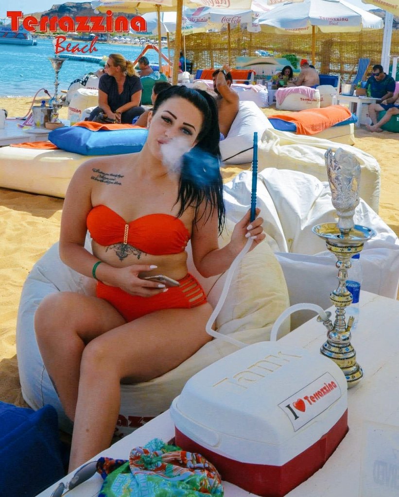 منار محمد tweet media