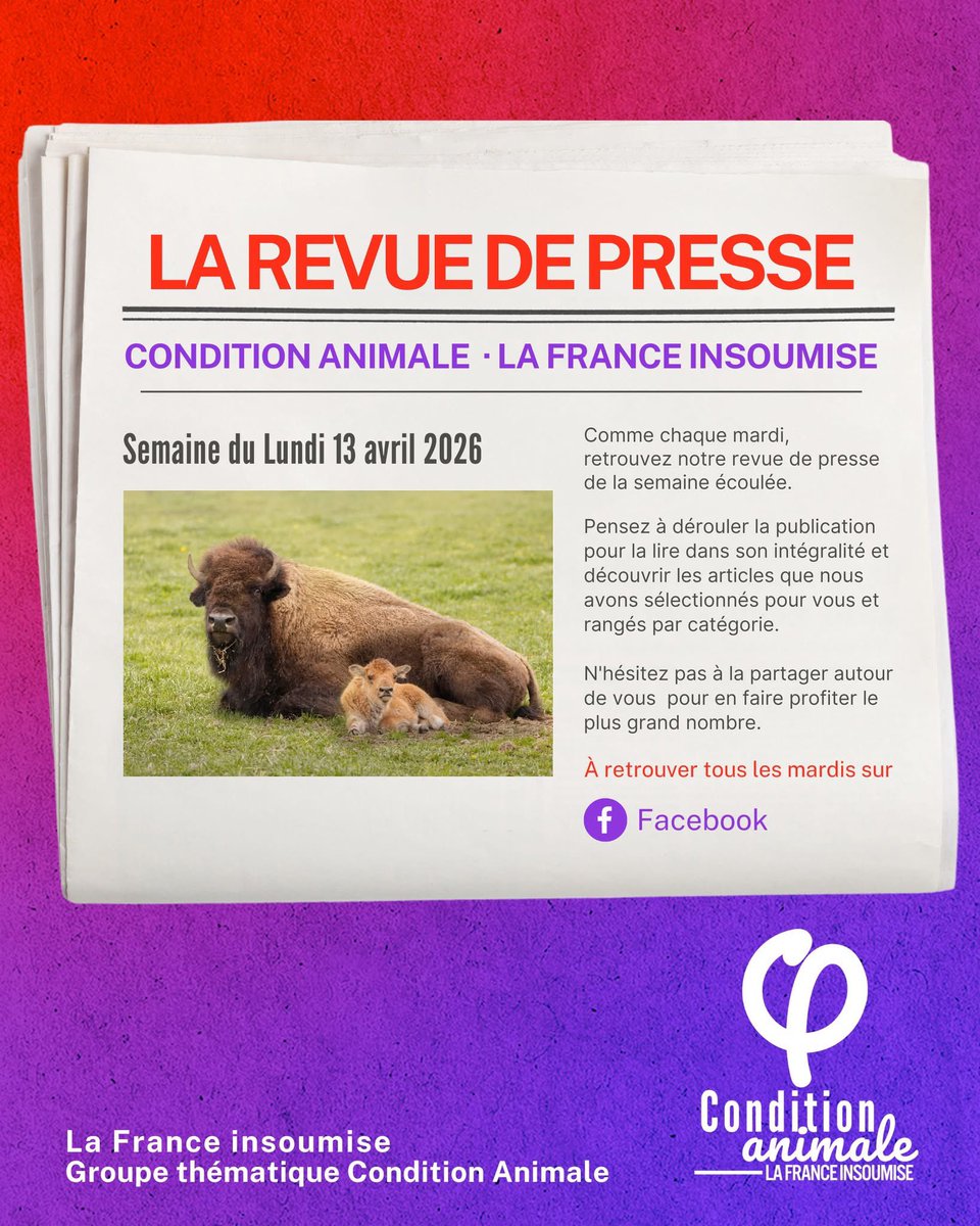 Condition animale - La France insoumise 🐢 tweet media