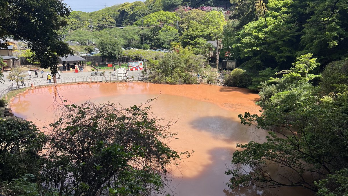 Maxgeorge tweet media