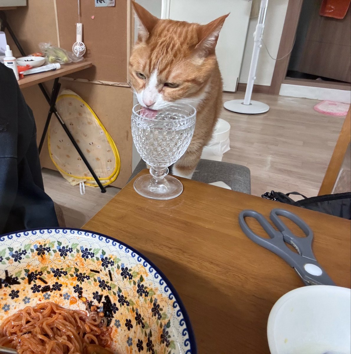 김민국 tweet media