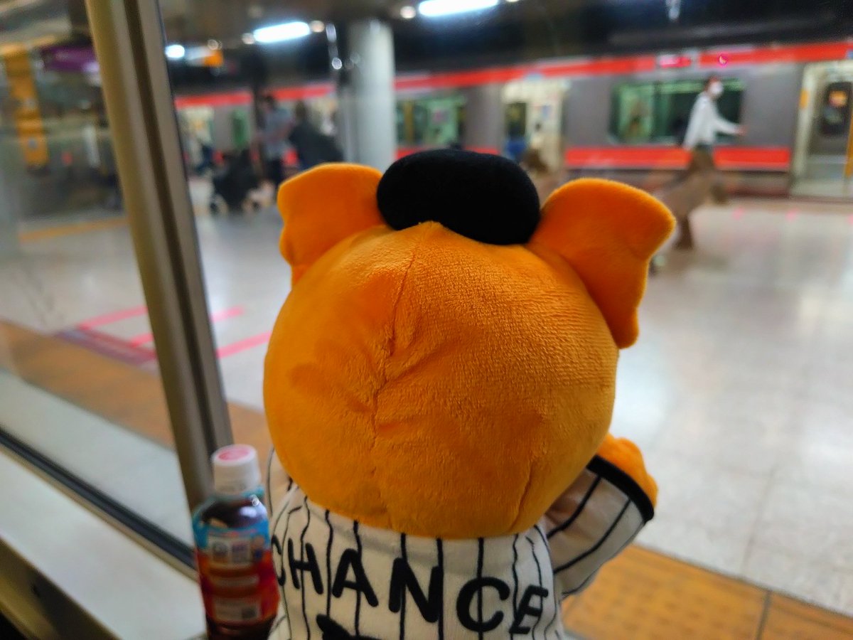 春先の旅人 tweet media