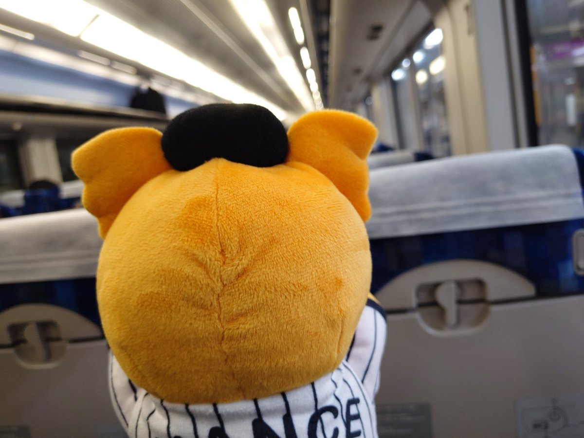春先の旅人 tweet media