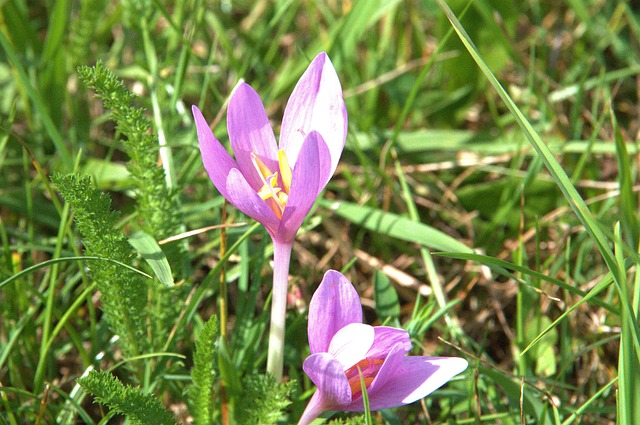 Jenna Harmon tweet media