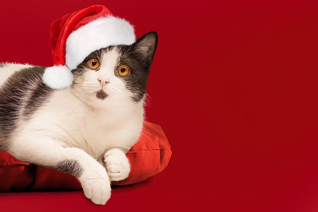 Bradley Becker tweet media