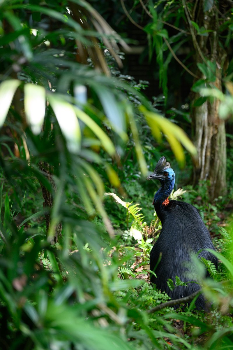 talisman tweet media