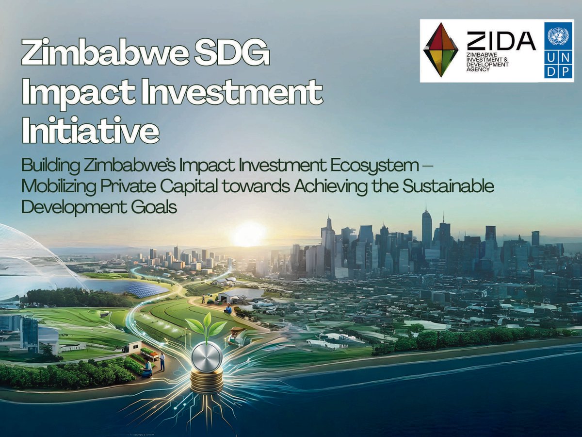 UNDP Zimbabwe tweet media