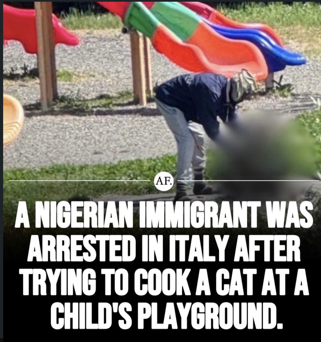 ‼️🔥 Další den, další akt importovaného barbarství na evropské půdě.

Tento nigerijský imigrant v Itálii byl zatčen poté, co se pokusil uvařit živou kočku na dětském hřišti.

Ne v nějaké uličce. Ne v noci. Za bílého dne, obklopen skluzavkami a houpačkami, kde si děti hrají.